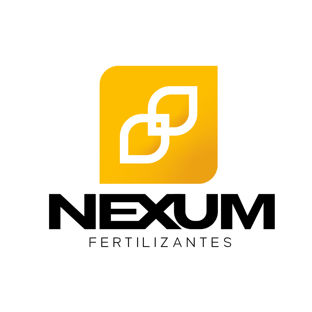 Nexum logo
